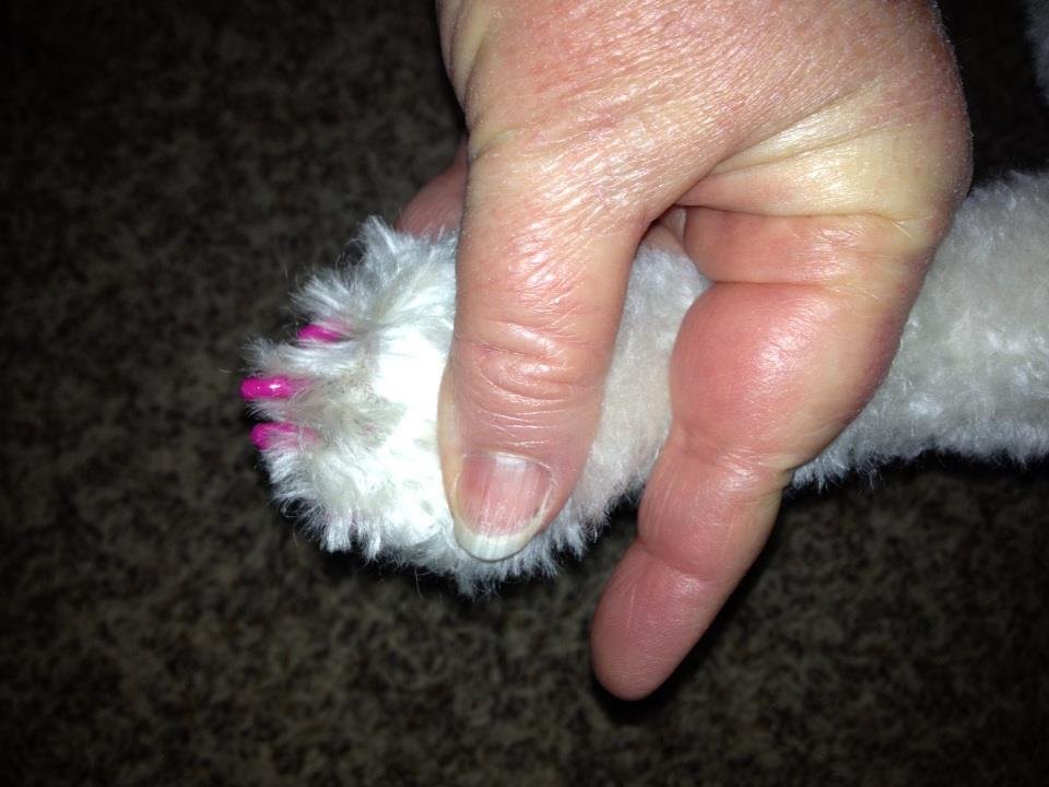 Beverly Dunlap's album, iOS Photos