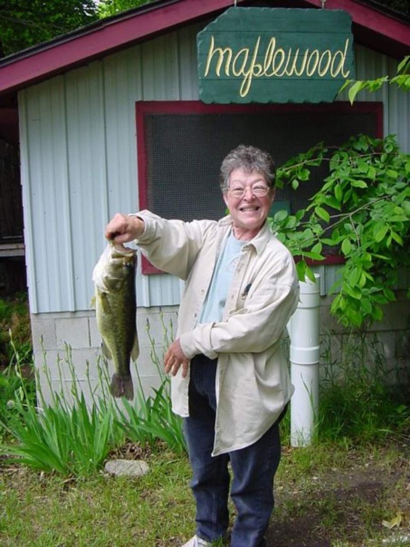 Cheryl Howland's album, Profile Pictures