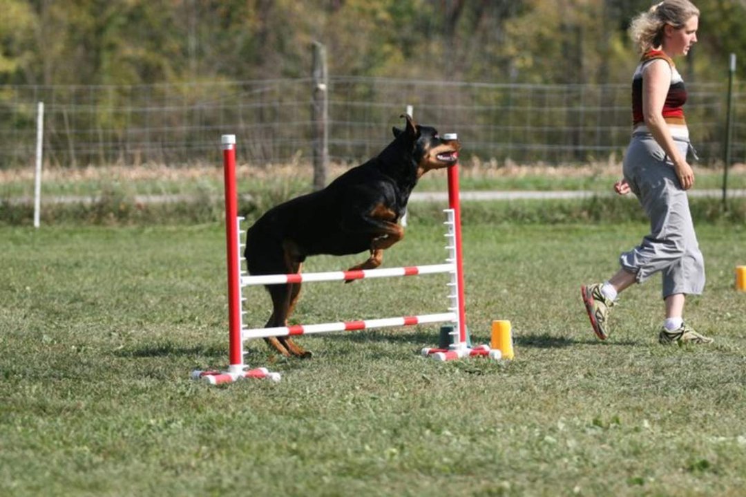 Heather Cotterman's album, In Memory of Woody "Buckeye's Bounding Glory