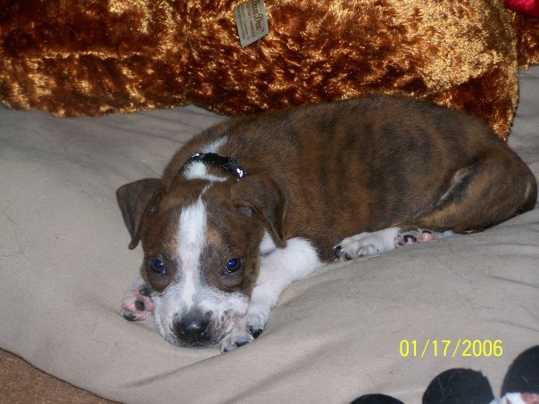 Shellamae Tucker's album, my photos