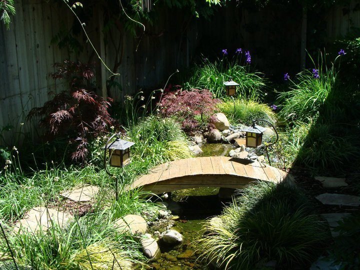 Dennis Harding's album, Photos1