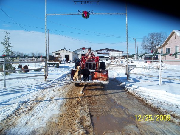 Daniel Corr's album, Christmas 2009