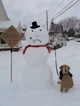 Beth Funston's album, Timeline Photos