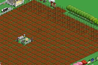joel laster's album, FarmVille Photos