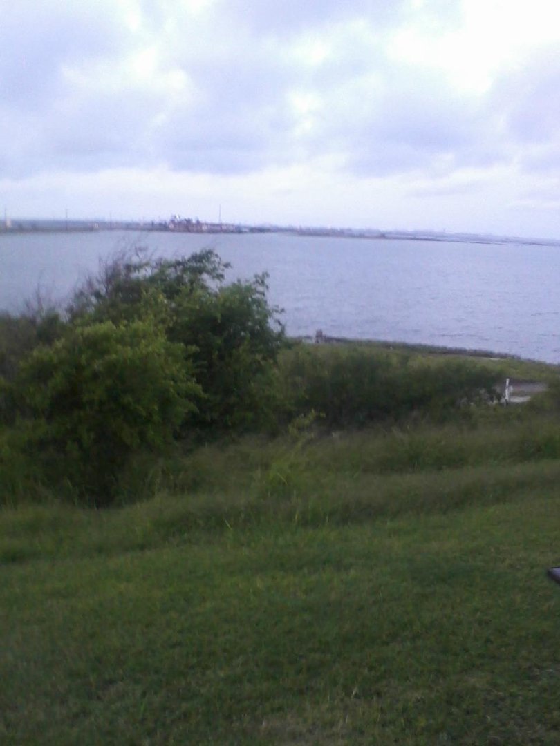 Robert Oman's album, my back yard