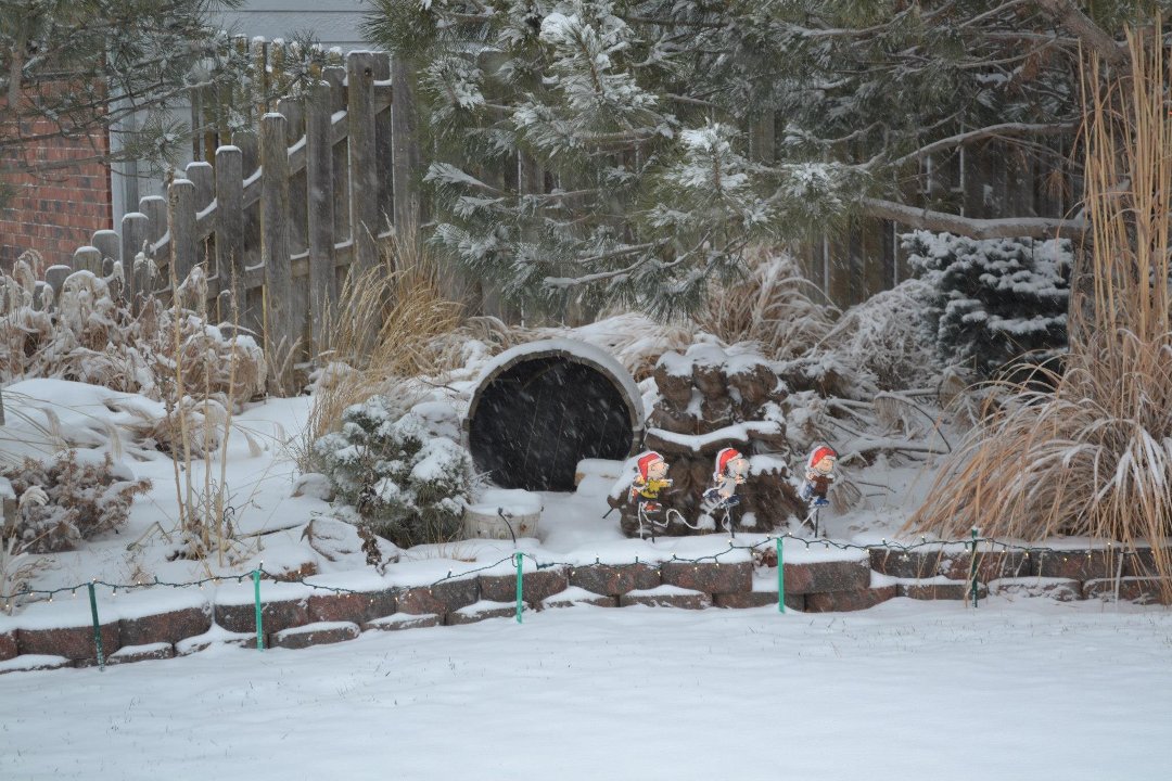 Chris Carroll's album, New Years Eve Snow 2012