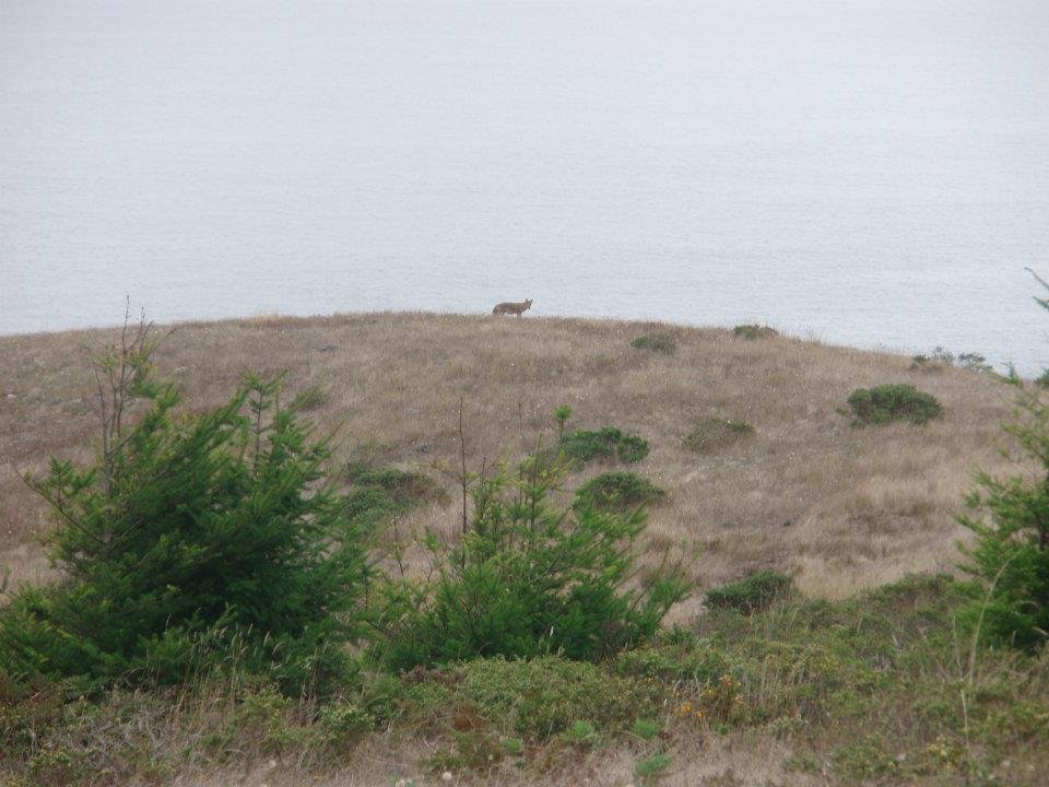 Maria Ossipoff's album, Point Reyes Backpacking Trip