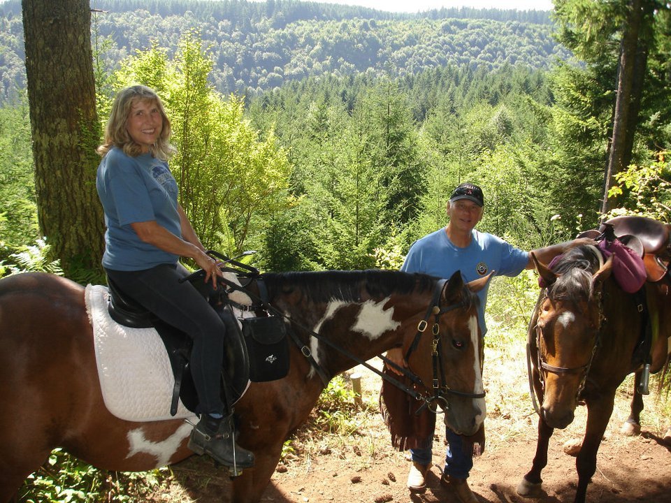 Carla Swearingen's album, August 2011 Horses