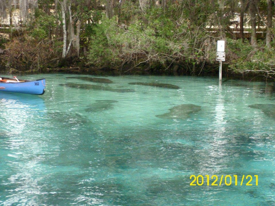 Daniel Berry's album, Three Sisters Springs