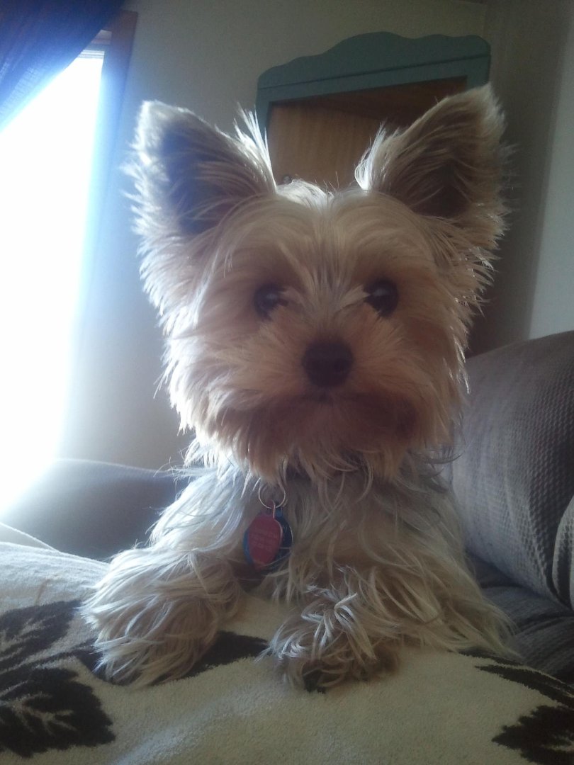 Stacey Bernier's album, Mobile Uploads