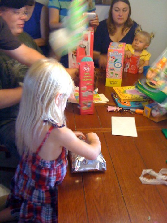 Steve Braune's album, Danielles 4th Birthday