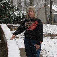 Lessie Gray's album, Profile Pictures