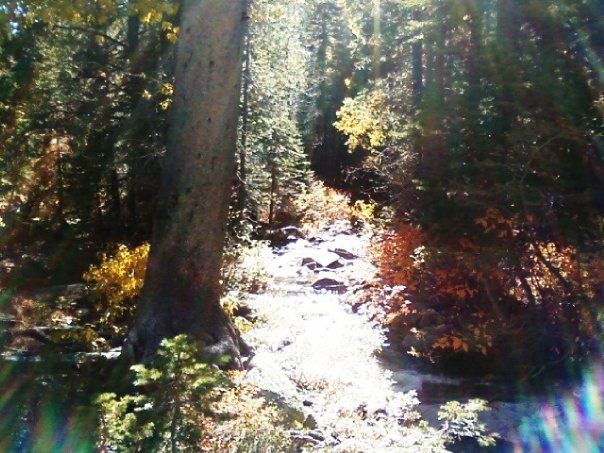 Jeff Brown's album, Fall 2009