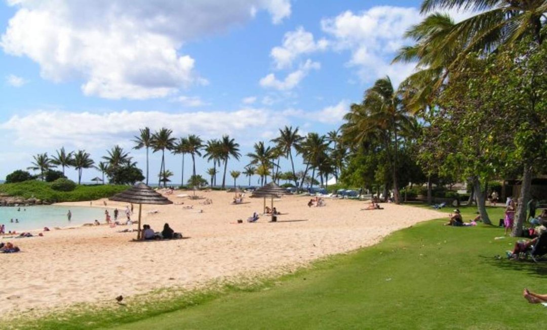 Tom Burt's album, Hawaii