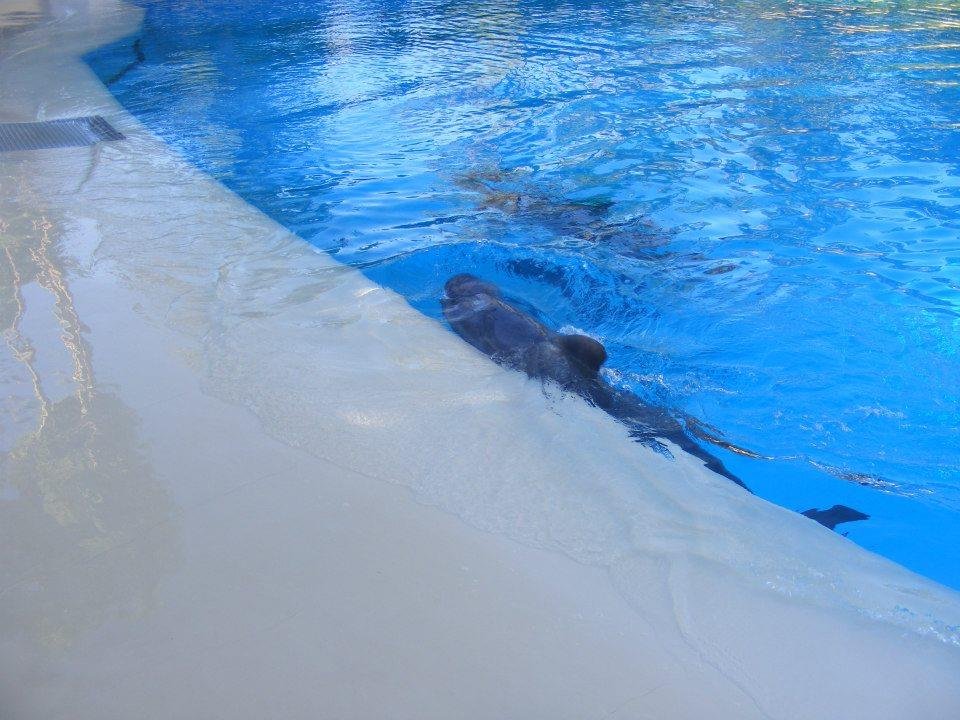Bryane Friend's album, Las Vegas 2012