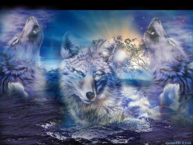 Deborah Kaiser's album, Cover Photos