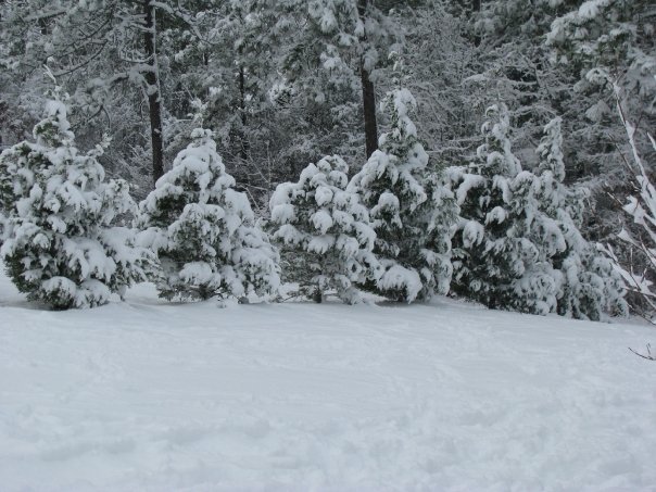 William Cecchini's album, Winter in North Carolina