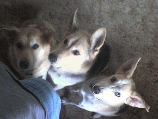 Cheryl Duncan's album, Cover Photos