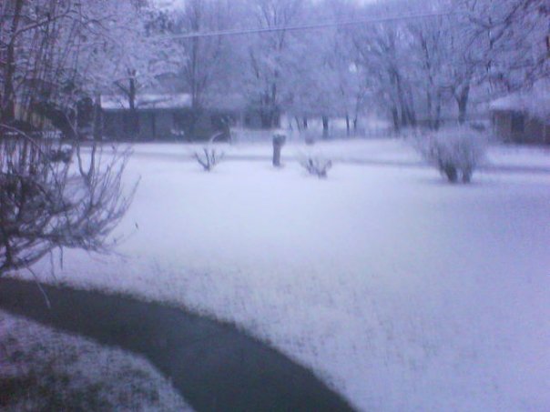 Calvin Lilly's album, Feb 2010 SNOW
