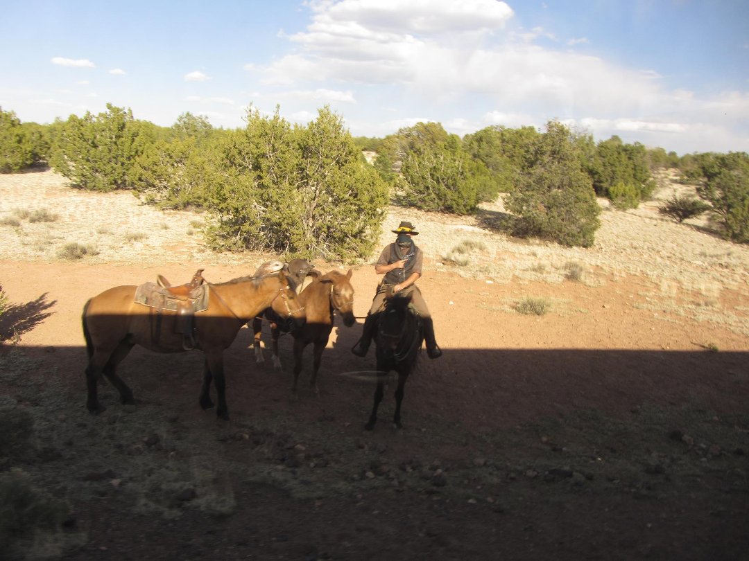 Steven Dasinger's album, Arizona - April/May 2013