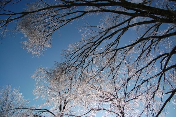 Mike Prather's album, Kentucky Ice Storm 2009