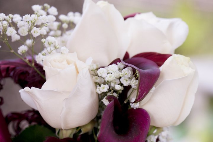 Charis Romilly's album, Wedding Photos