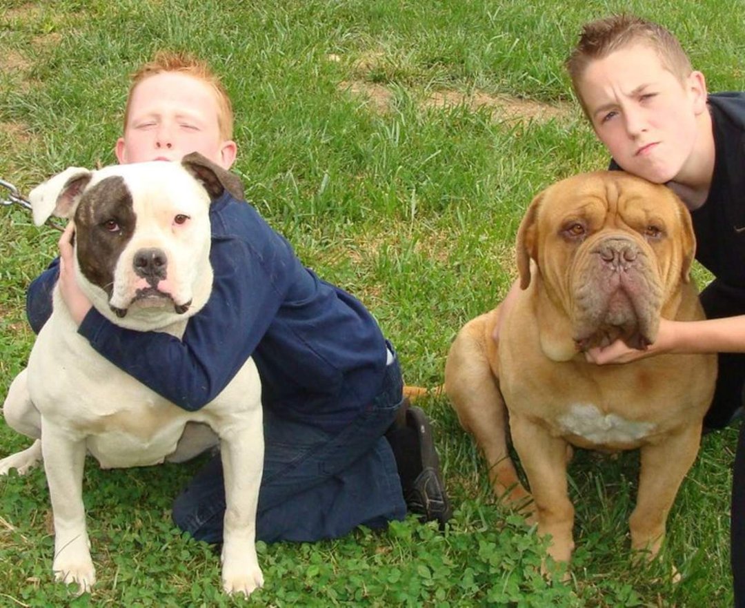 Dallen Gettling's album, Jersey and Mercedes puppies