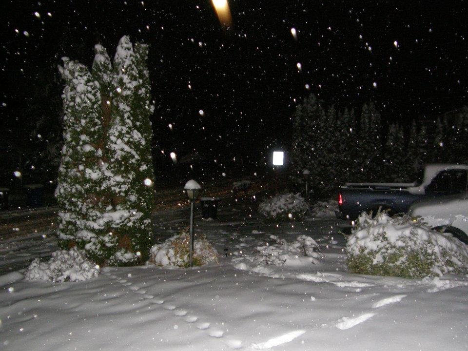 Douglas Wright's album, Winter snow storm, Jan. 18-22, 2012