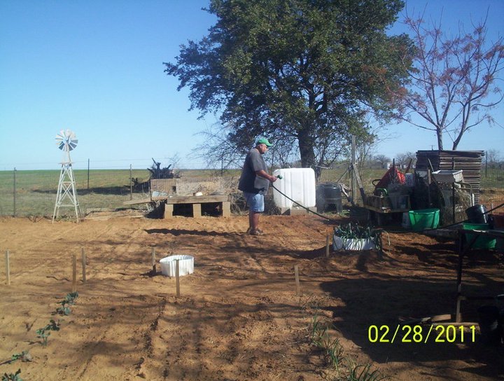 Sandy Shodeen's album, Garden Party for 2011 (Feb-Mar)