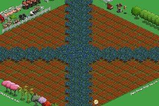 joel laster's album, FarmVille Photos