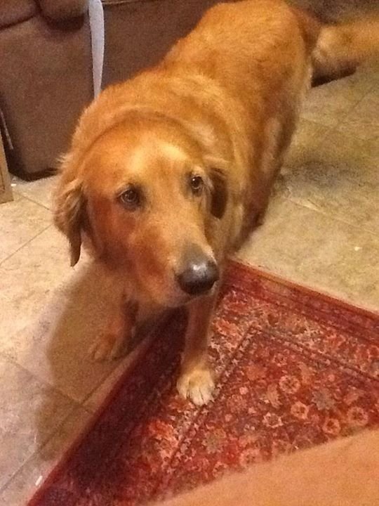 Mark Hager's album, iOS Photos