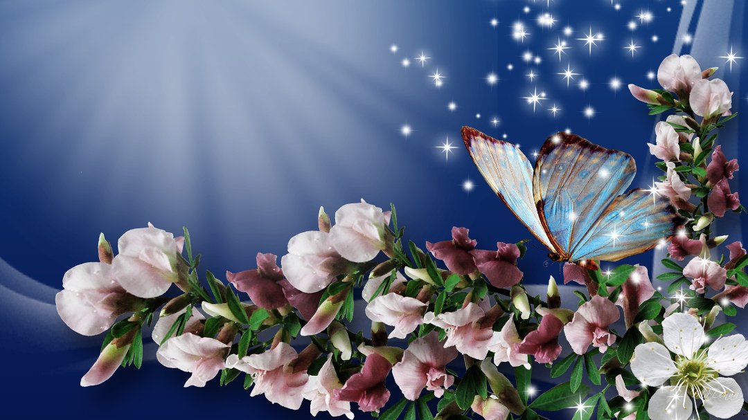Sonia Alexander's album, Cover Photos