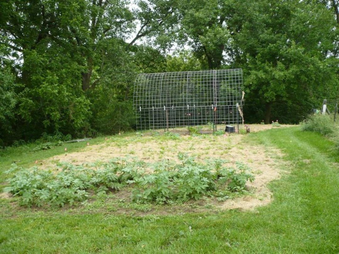 Vern Barry's album, 2011 Garden