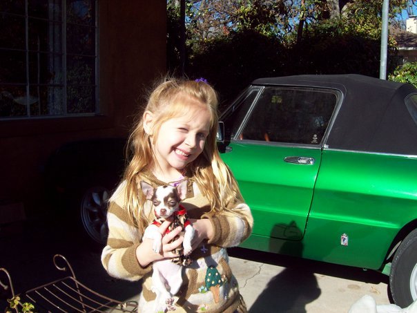 Mark Boerner's album, Harley