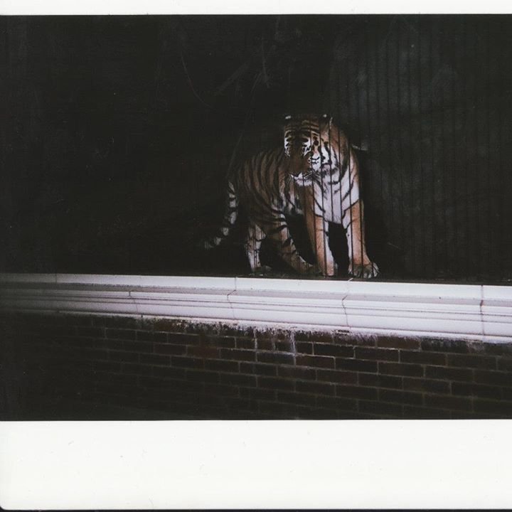Abert Jones' album, Untitled Album