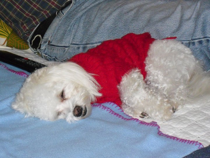 Debbie Anderson's album, Bella