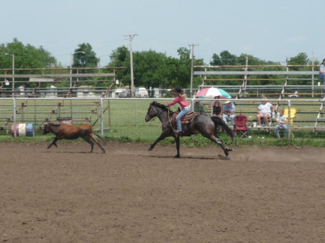 Judith Evans' album, Rodeo