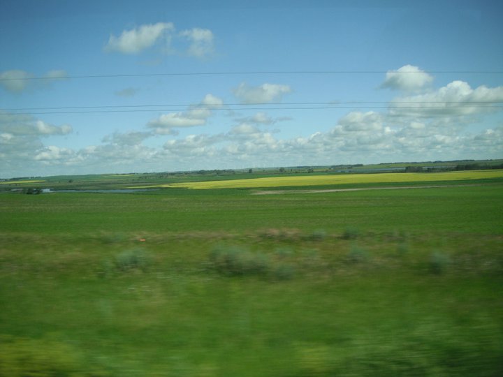 Jane Carter's album, August 20, 2011