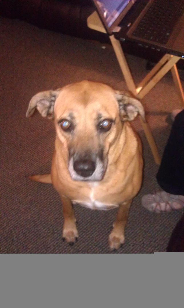 Kathy Murphy's album, Timeline Photos