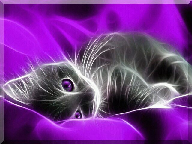 Darlene Monette's album, Mobile Uploads