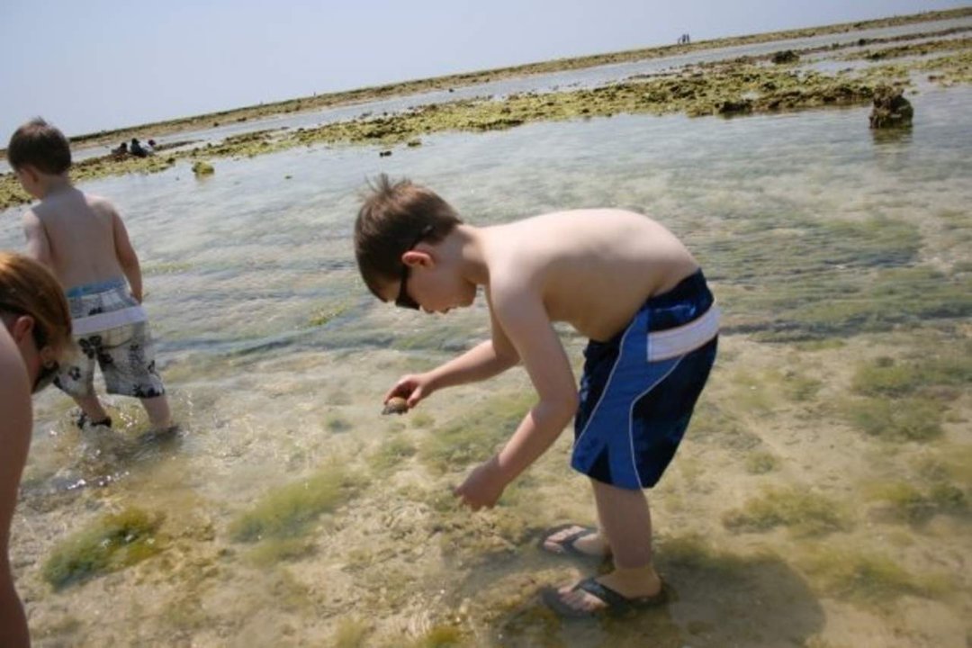 Dan Arpan's album, Okinawa