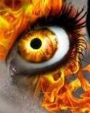 michael carlsen's album, Timeline Photos
