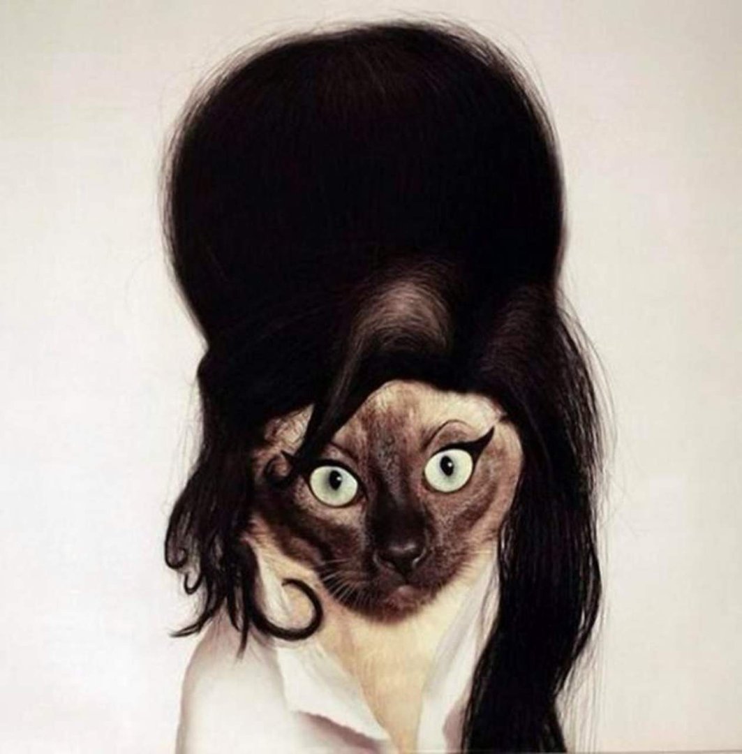 Sandra Podpolucha's album, Mobile Uploads