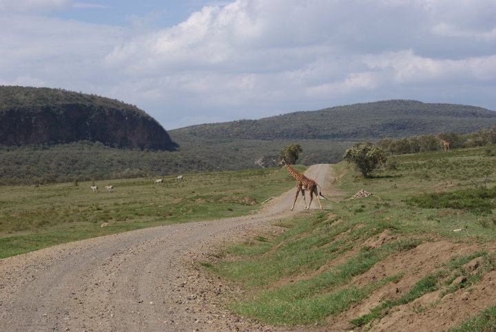 Greg Roworth's album, Kenya