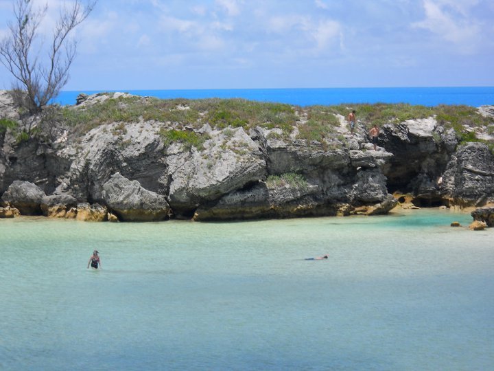 Tracy Robertson's album, Bermuda 2011