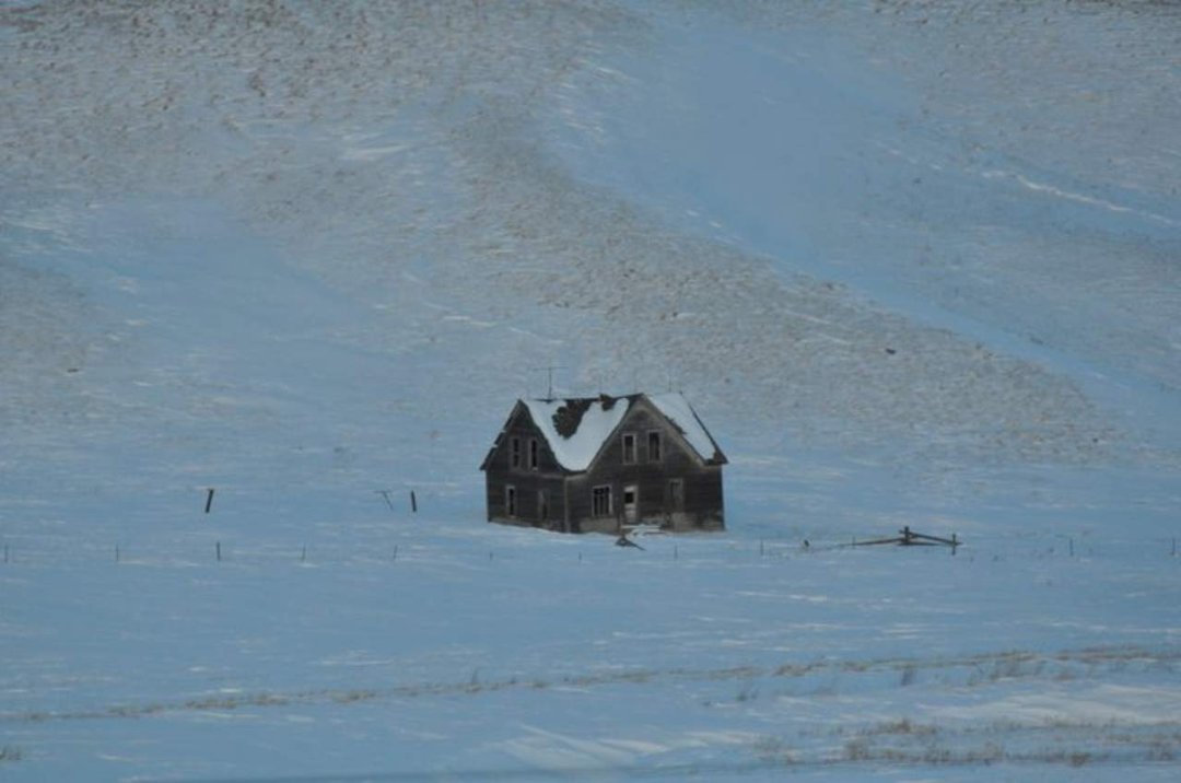 Edward Asbert's album, Cananda trip January , 2011