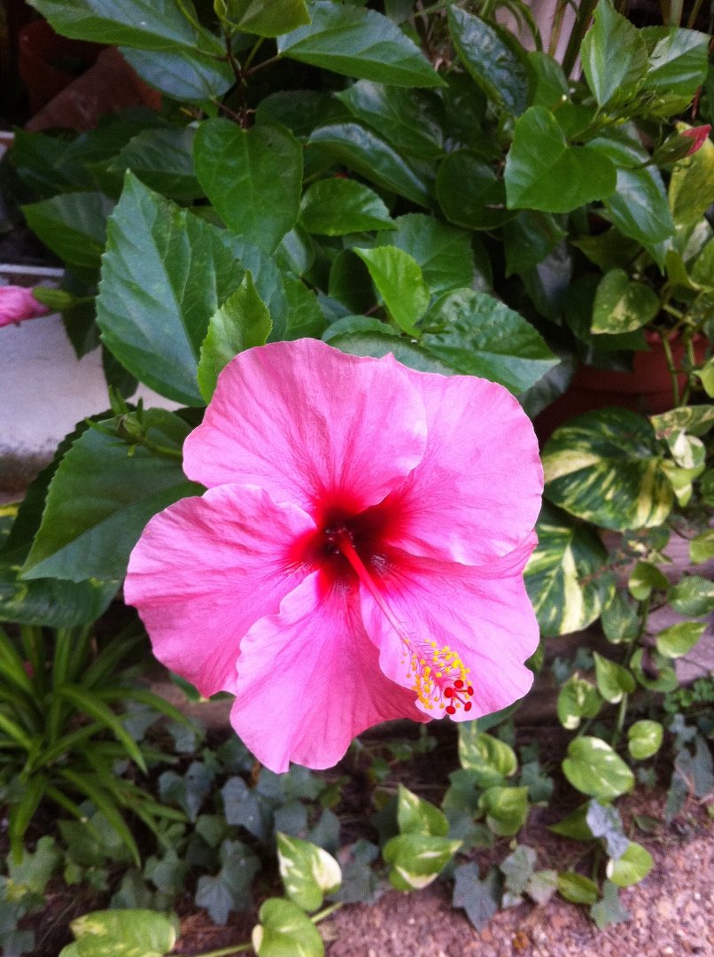 Jeannie Allen's album, Mobile Uploads