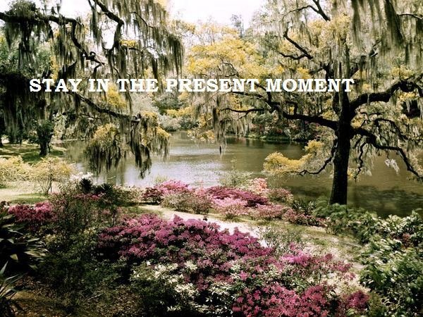William Monk's album, Cover Photos
