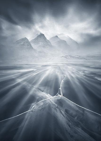 Wayne Nerger's album, Cover Photos