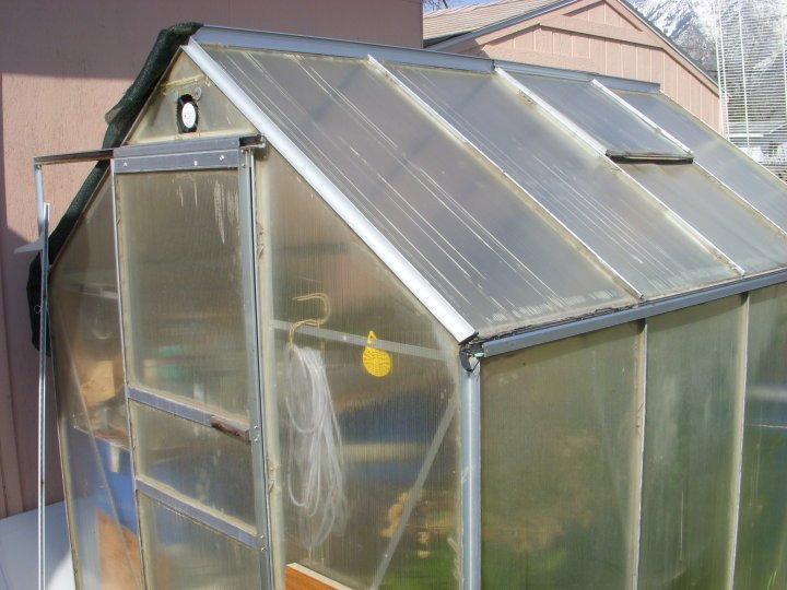 David Elison's album, Green House